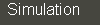 Simulation